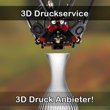 3D Druckservice in Eberhardzell