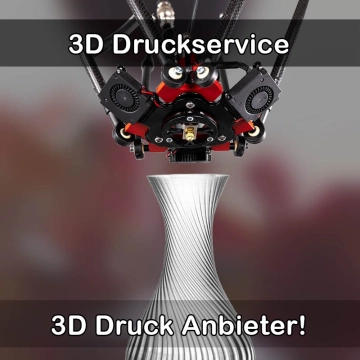 3D Druckservice in Ebhausen