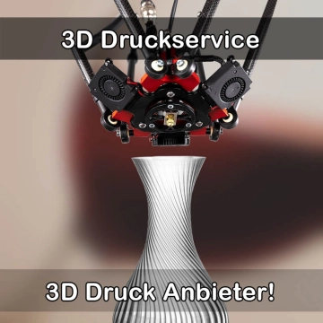 3D Druckservice in Eibenstock