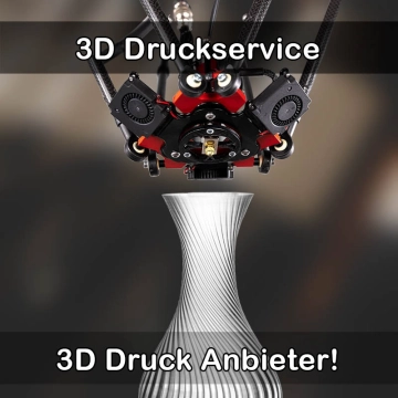 3D Druckservice in Empfingen