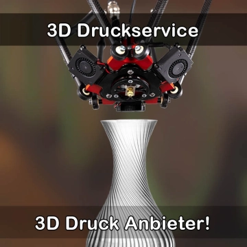 3D Druckservice in Feldberger Seenlandschaft
