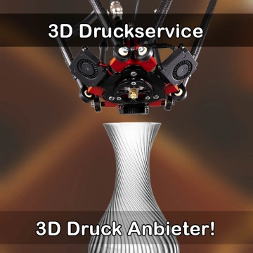 3D Druckservice in Fichtenau