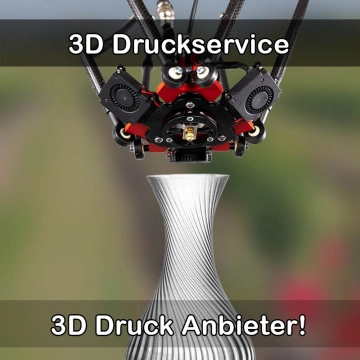 3D Druckservice in Flensburg