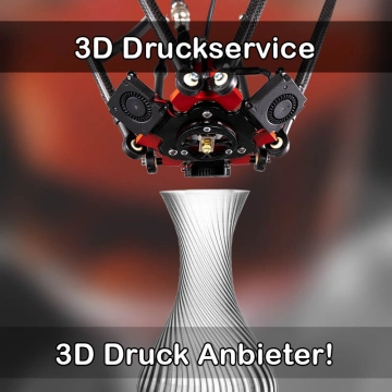 3D Druckservice in Frankenthal (Pfalz)