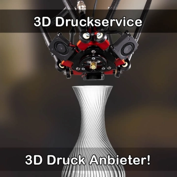 3D Druckservice in Freinsheim