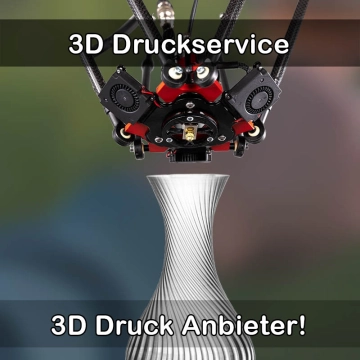3D Druckservice in Gaienhofen
