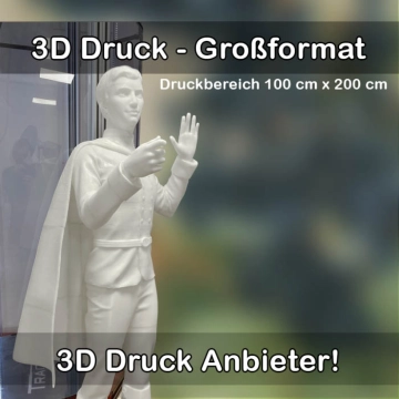3D-Druckservice für Großformat 3D Drucke 