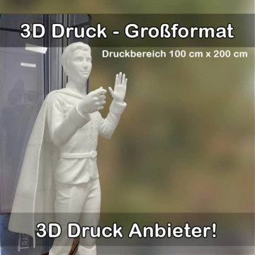 3D-Druckservice für Großformat 3D Drucke 