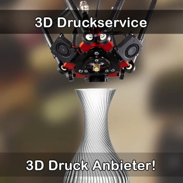 3D Druckservice in Großrinderfeld