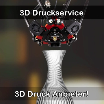 3D Druckservice in Großrückerswalde