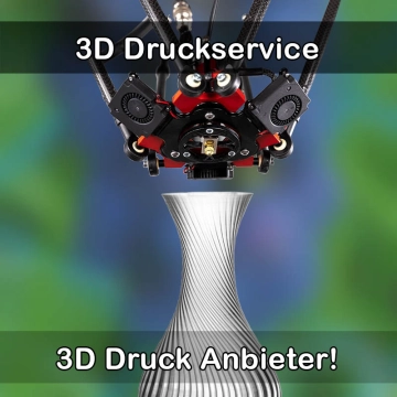 3D Druckservice in Großschirma