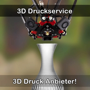 3D Druckservice in Großwallstadt