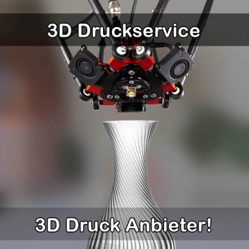 3D Druckservice in Hagenbach