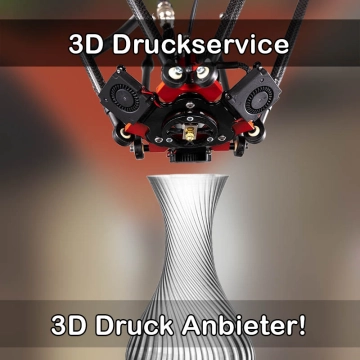 3D Druckservice in Hambrücken