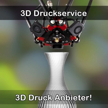3D Druckservice in Hanau