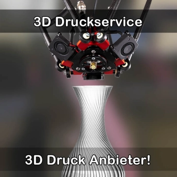 3D Druckservice in Hankensbüttel