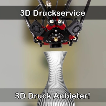 3D Druckservice in Hasselroth