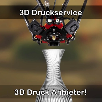 3D Druckservice in Haßfurt
