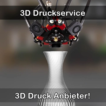 3D Druckservice in Hauneck