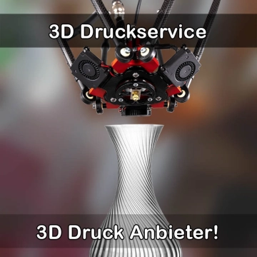 3D Druckservice in Hecklingen