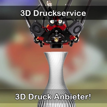 3D Druckservice in Heikendorf