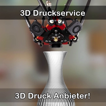 3D Druckservice in Hodenhagen