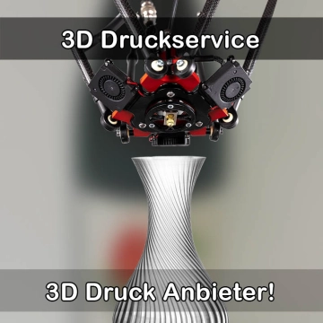 3D Druckservice in Höhr-Grenzhausen