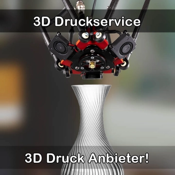 3D Druckservice in Hünfelden