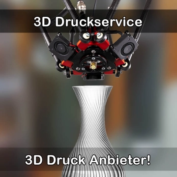 3D Druckservice in Hünstetten