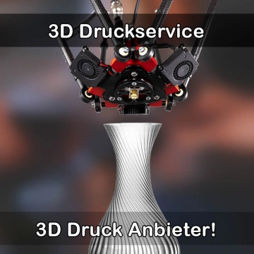 3D Druckservice in Ichenhausen