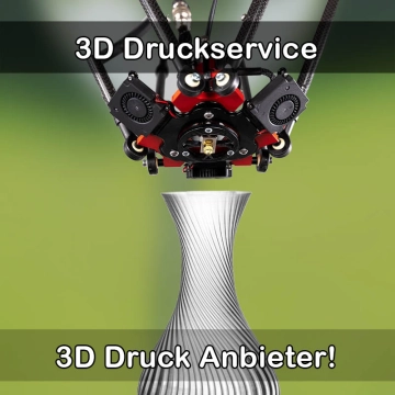 3D Druckservice in Ilmenau