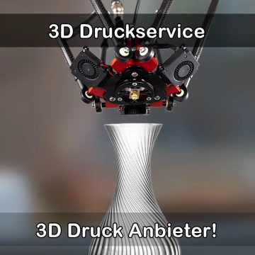 3D Druckservice in Ilvesheim