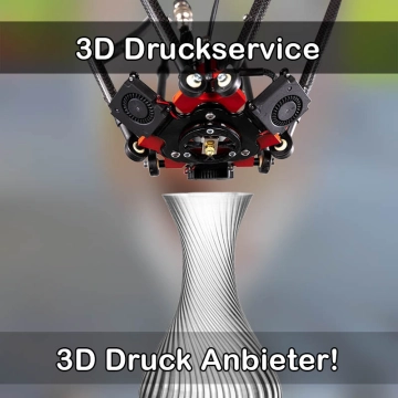 3D Druckservice in Isenbüttel