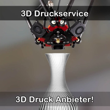 3D Druckservice in Johannesberg
