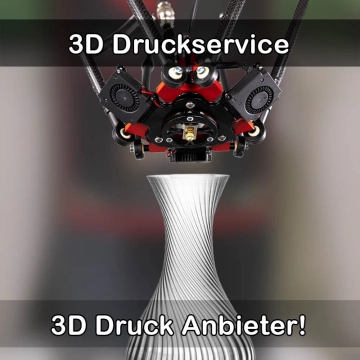 3D Druckservice in Kalefeld