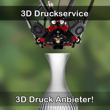 3D Druckservice in Klein-Winternheim