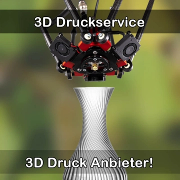 3D Druckservice in Kleinostheim