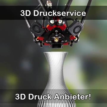 3D Druckservice in Klingenberg am Main