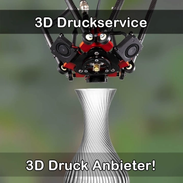 3D Druckservice in Königsberg in Bayern