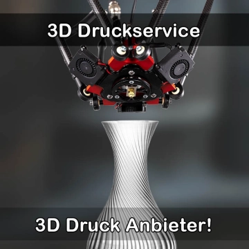 3D Druckservice in Kolitzheim