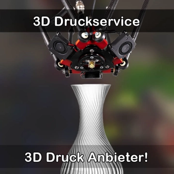 3D Druckservice in Laer
