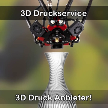 3D Druckservice in Lahnstein