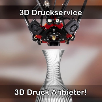 3D Druckservice in Lahr/Schwarzwald