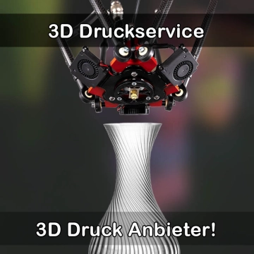 3D Druckservice in Lambsheim