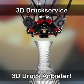3D Druckservice in Langelsheim
