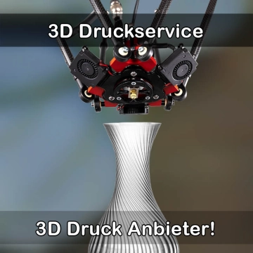 3D Druckservice in Langenau