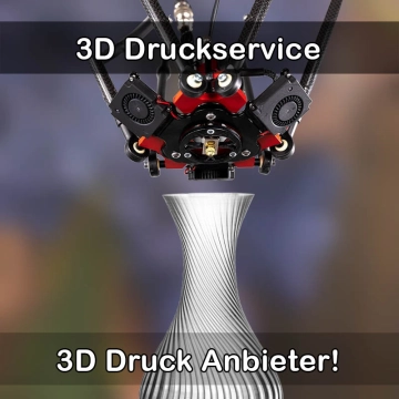 3D Druckservice in Langenenslingen