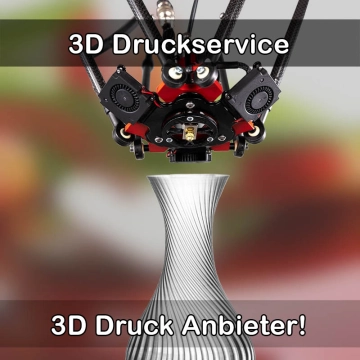 3D Druckservice in Langenlonsheim