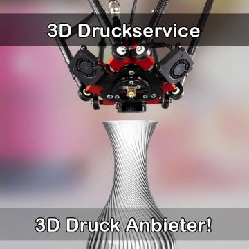 3D Druckservice in Langenzenn