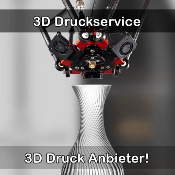 3D Druckservice in Langgöns